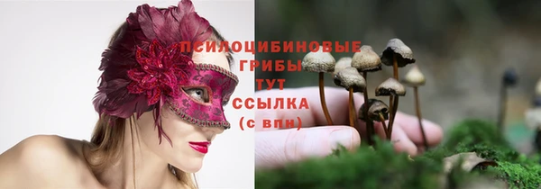 индика Беломорск