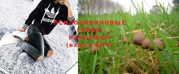 индика Беломорск
